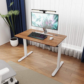 SONNI Elektrisch Höhenverstellbarer Schreibtisch Bürstenloser Motor mit 3 Memory-Funktionen, Anti-Kollisionssystem & Kabelmanagement, Steh-Sitz Tisch für Homeoffice, 60KG Traglast